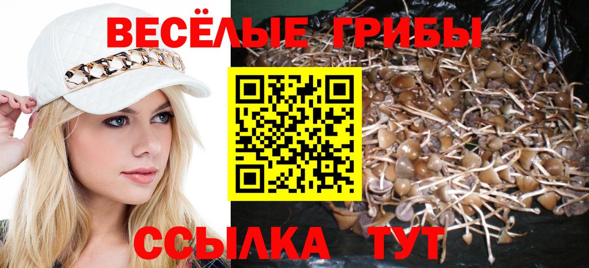 Псилоцибиновые грибы MAGIC MUSHROOMS  Вход с VPN  купить наркоту  Кондопога 