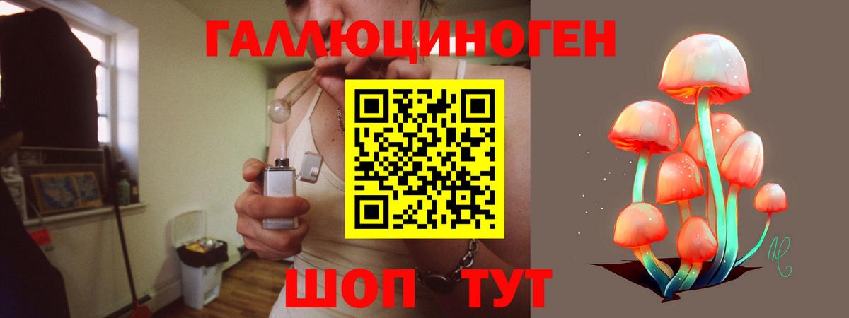 Псилоцибиновые грибы мицелий Кондопога